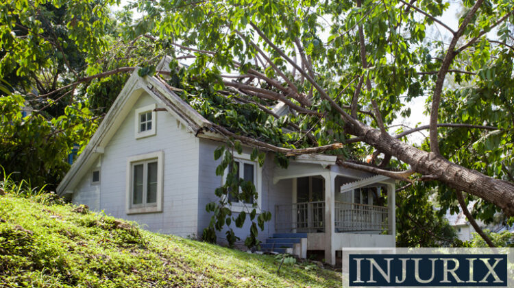 injurix.com: Who's Liable if a Neighbor's Dead Tree Damages Your Property?