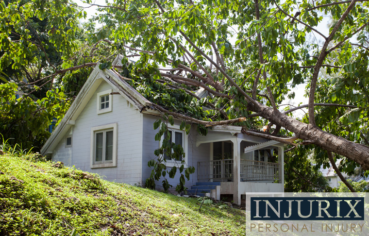 injurix.com: Who's Liable if a Neighbor's Dead Tree Damages Your Property?